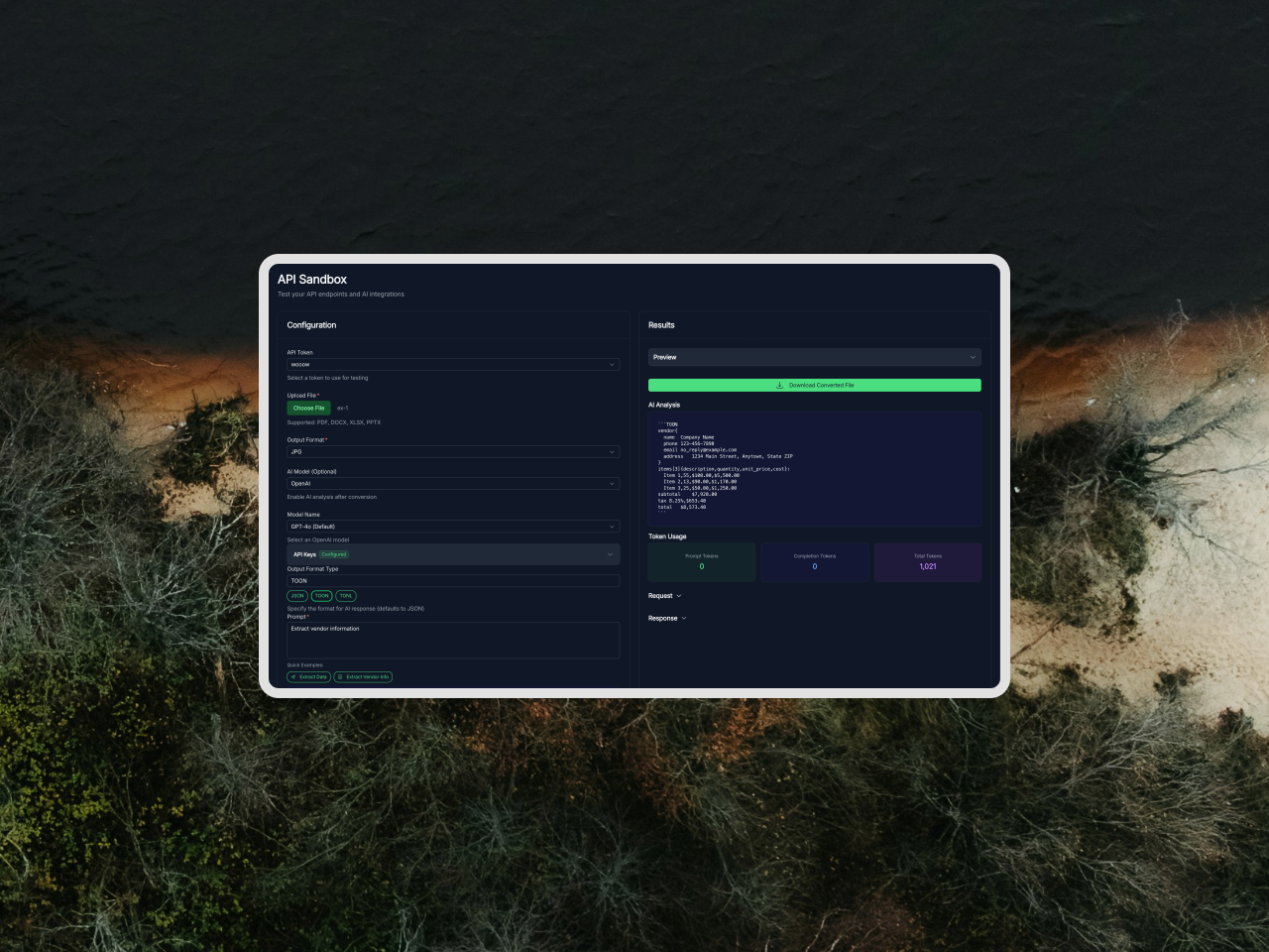 UdonOne API Sandbox Interface showing file conversion, AI model selection, output format types (JSON, TOON, TONL), and token usage tracking